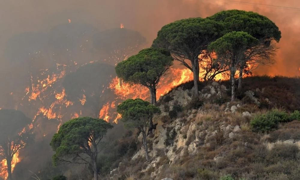 Σικελία: Αποτέλεσμα εμπρησμών μεγάλο μέρος των πυρκαγιών